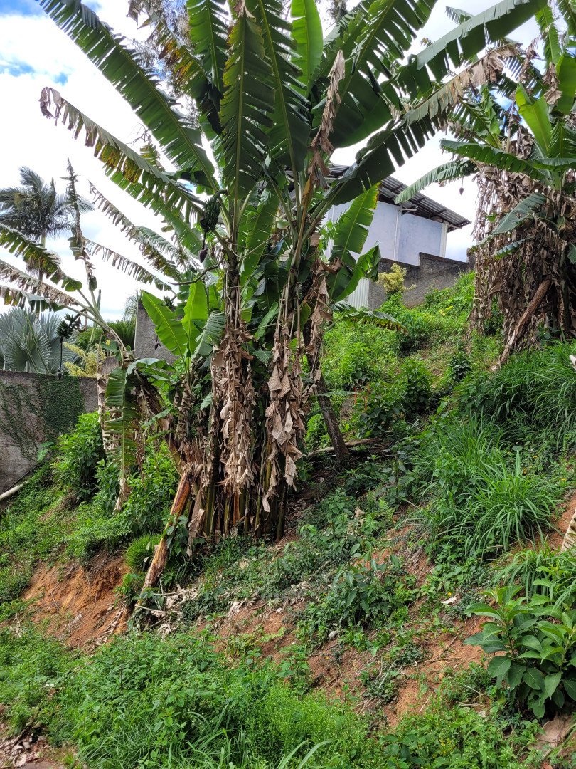 Terreno para venda - Ponte da Saudade, Nova Friburgo - RJ. Valor para venda: R$ 100.000,00