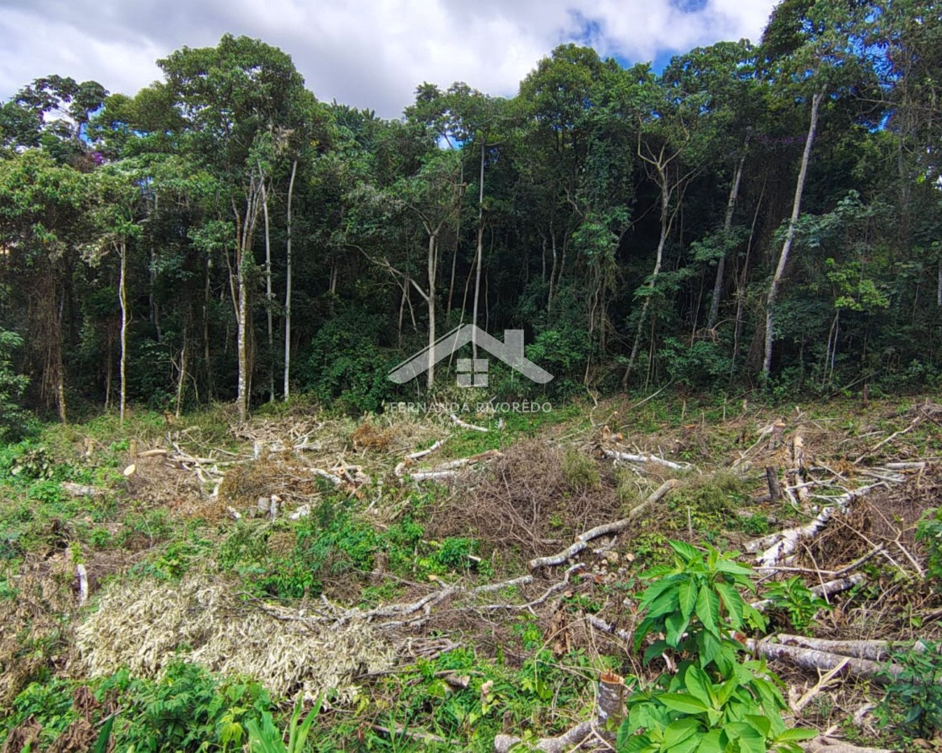 Terreno para venda - Nova Suíça, Nova Friburgo - RJ. Valor para venda: R$ 185.000,00.