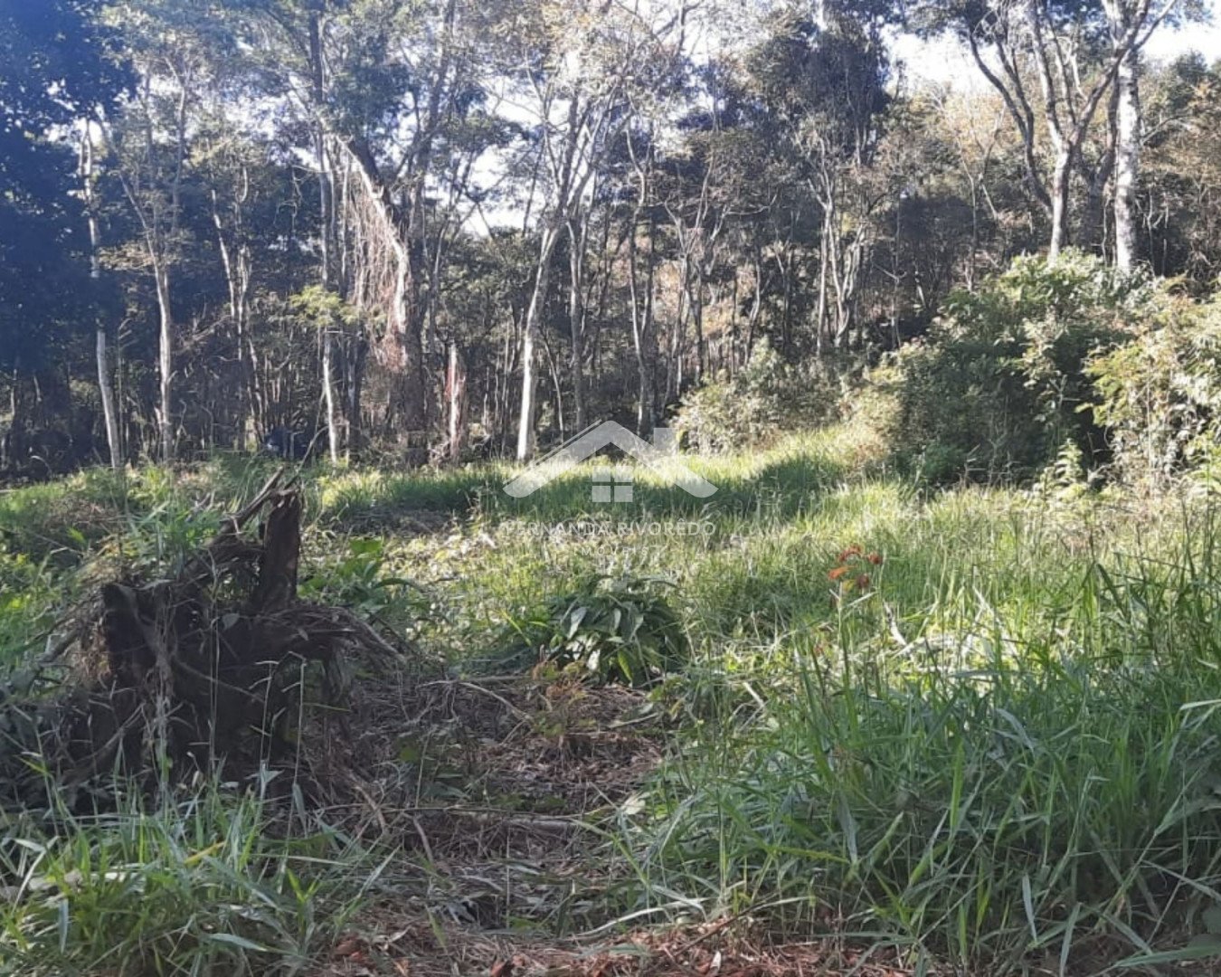 Terreno em condomínio para venda - Amparo, Nova Friburgo - RJ. Valor para venda: R$ 200.000,00.