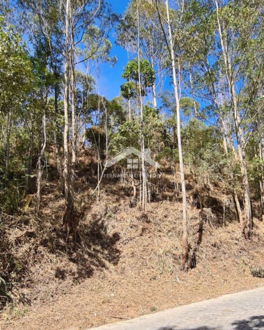 Terreno para venda - Parque São Clemente, Nova Friburgo - RJ. Valor para venda: R$ 135.000,00.